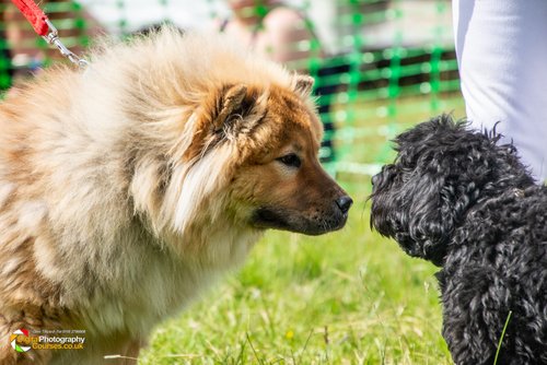 Smeeton Westerby Fete 2019